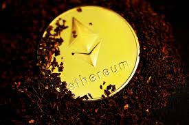 币圈一周事件概览 11.18-11.24